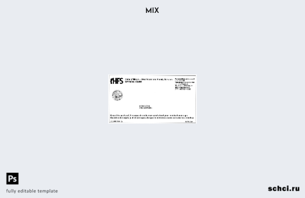 цифровая загрузка шаблона медицинской карты HFS США, Иллинойс